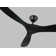 Obsidian Ceiling Fan