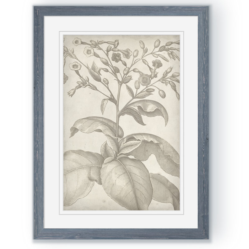«Classic Romance I» par Paul Cezanne - Reproduction d'art sur papier encadrée, H 22 po x l 16 po x P 1 po, gris clair