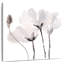Harnek Tonal Magnolias III-109206402