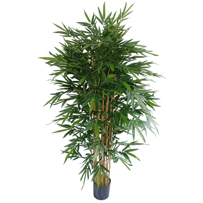 180cm Faux Bamboo Tree in Pot Liner