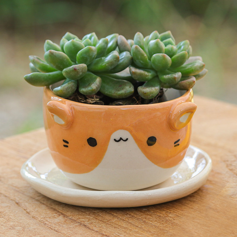 Trinx Handmade Kitty Energy Ceramic Mini Flower Pot