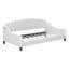 Modern Luxury Tufted Button Daybed,Twin-46986329-46986331