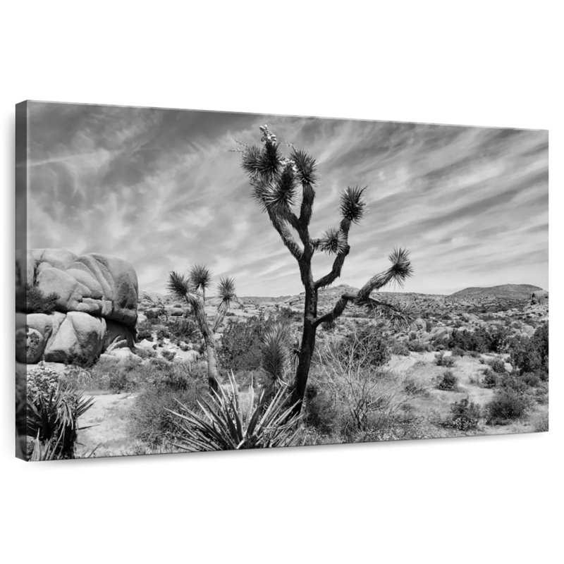 Harnek Desert Joshua Tree