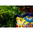 Talavera 9" Ceramic Pot Planter