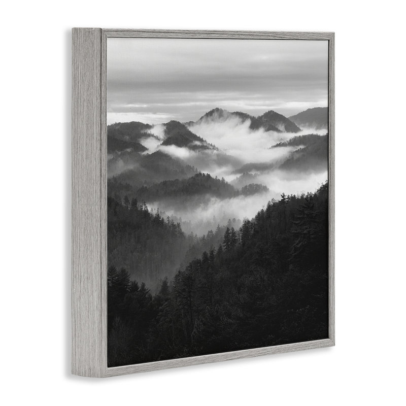 «Smoky Mountains Forest», estampe numérique, conception de Nicholas Bell, Giclée de ferme grise encadrée, H 17 po x l 17 po