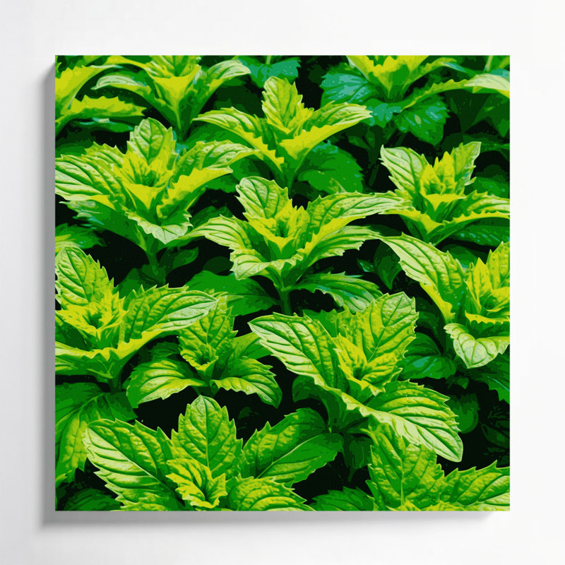 "Watercolor Botanical 64", art mural sur toile verte, H 32 po x l 32 po