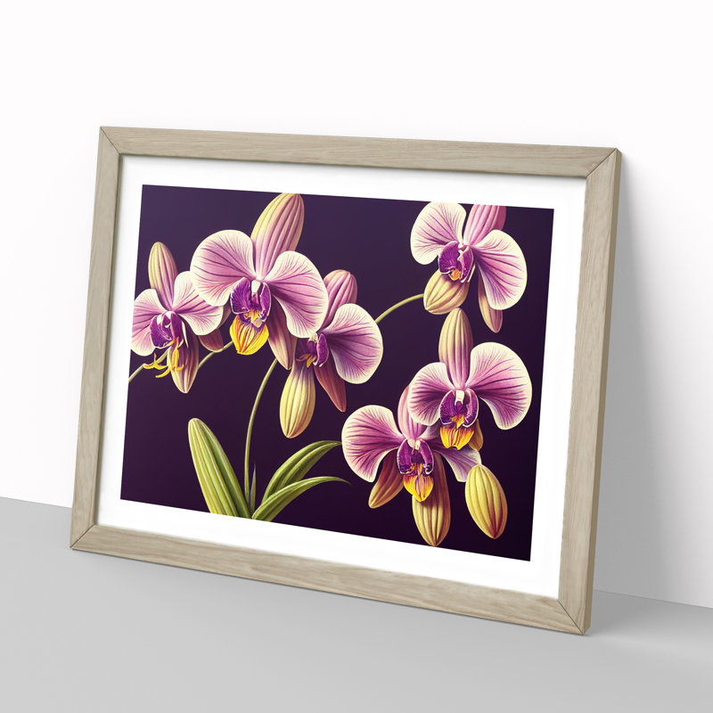 Captivating Orchid Flowers - Framed Print, Oak, 46cm H x 64cm W x 2cm D