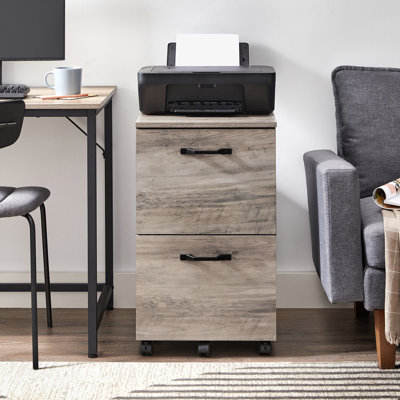 Cambrie 16.5'' Wide 2 -Drawer Mobile File Cabinet