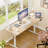 Electric Adjustable Height Standing Desk-1957071036-1957071038