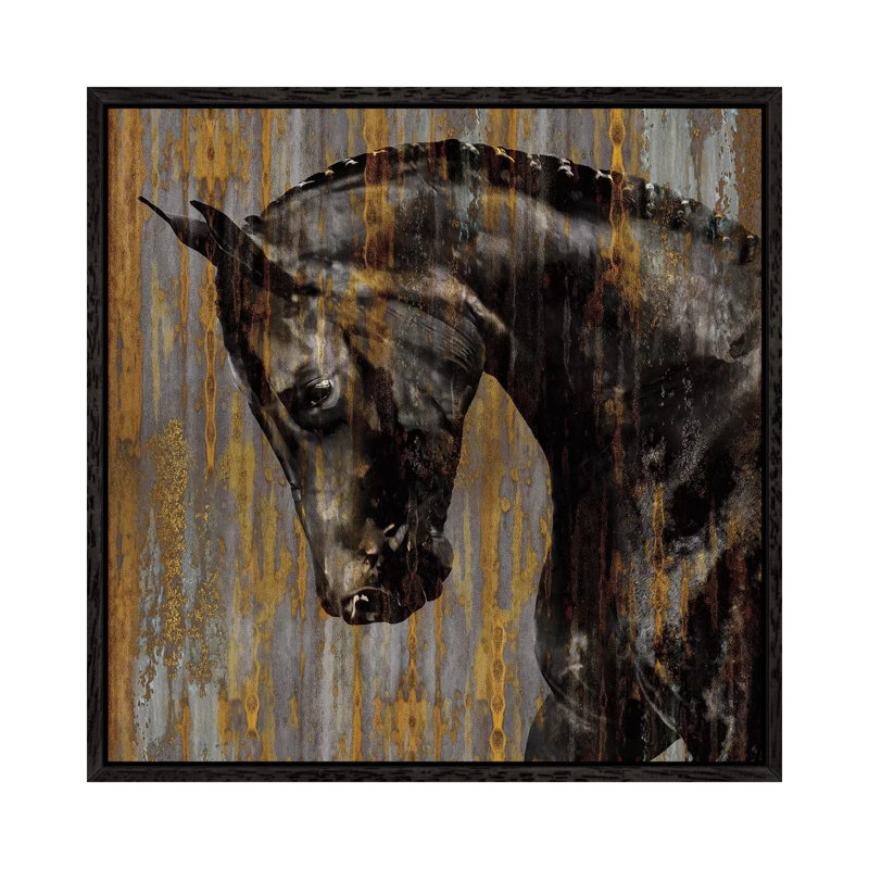 Horse I by Martin Rose - Gallery-Wrapped Canvas Giclée on Canvas, 45.72 cm H x 45.72 cm W, Black Framed