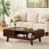 Modern Coffee Table With Storage