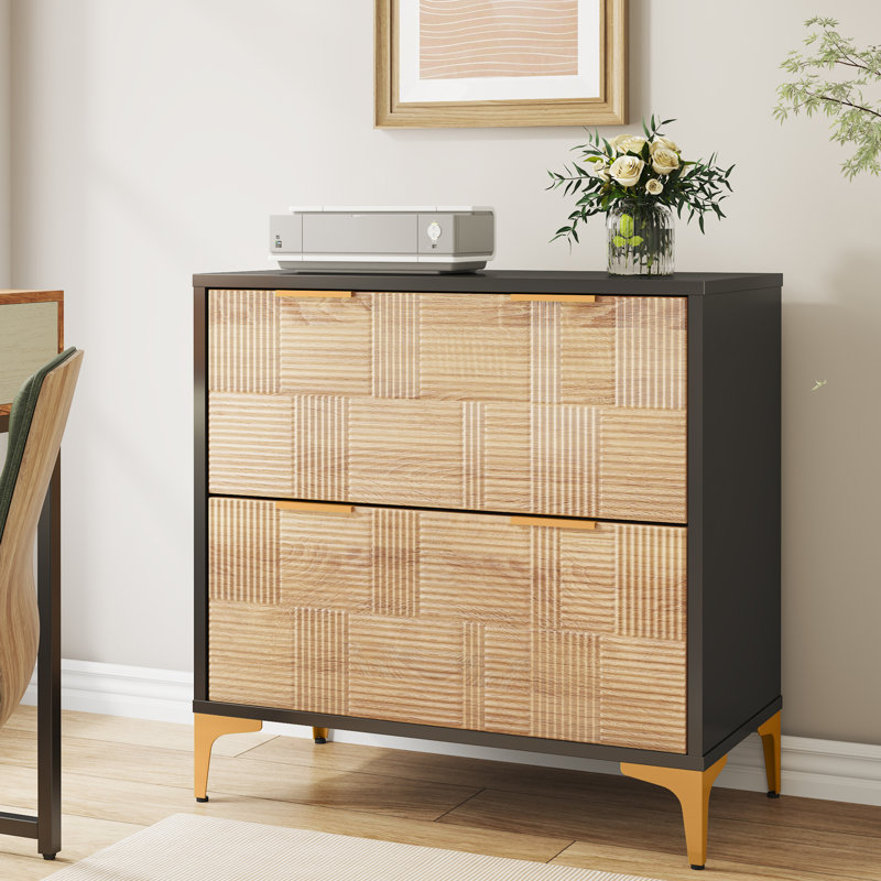 Tavain 31.5'' Wide 2 -Drawer File Cabinet, Natural/Black