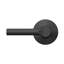 Broadway Passage Door Lever with Rosette-24299161
