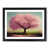 Black Framed selected