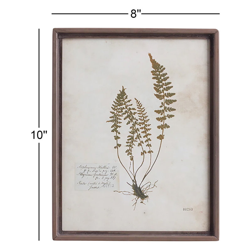 Lowery 'Petite Frond - 4 Piece Picture Frame Print Set on Paper