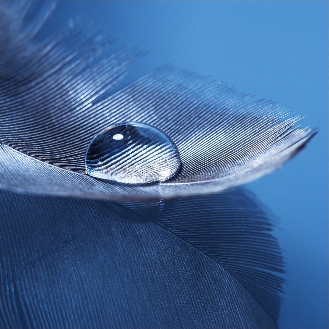 Glasbild Feather II, Kunstdruck