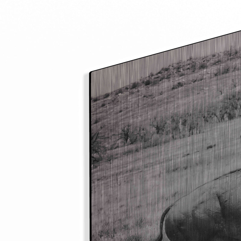 "Buffalo I BW" par Debra Van Swearingen, H 24 po x l 36 po