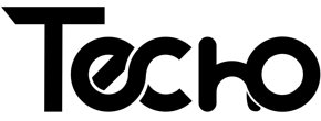 Logo Techo