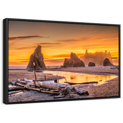 Olympic National Park I Canvas Print
