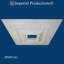 Médaillon de plafond