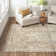 Cait Oriental Indoor Rug