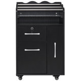 Salon Trolley Makeup Organizer with Drawer and Cabinet