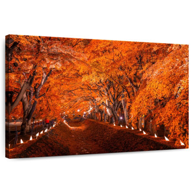 Alvord Kawaguchiko Autumn Trees