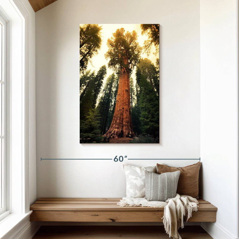 Alvord Twilight Sequoia National Park, H 45 po x l 30 po