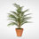 Real Touch Faux Palm Plant in Ceramic Pot