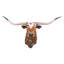 Sculpture murale Texas Longhorn Bull