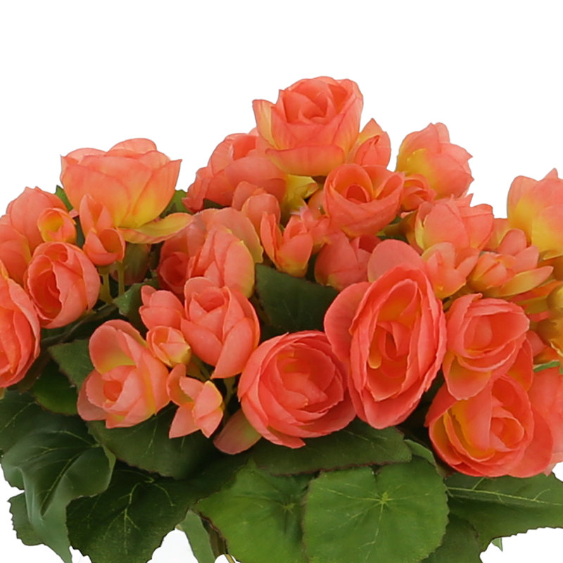 Begonia Floral Arrangement, Orange