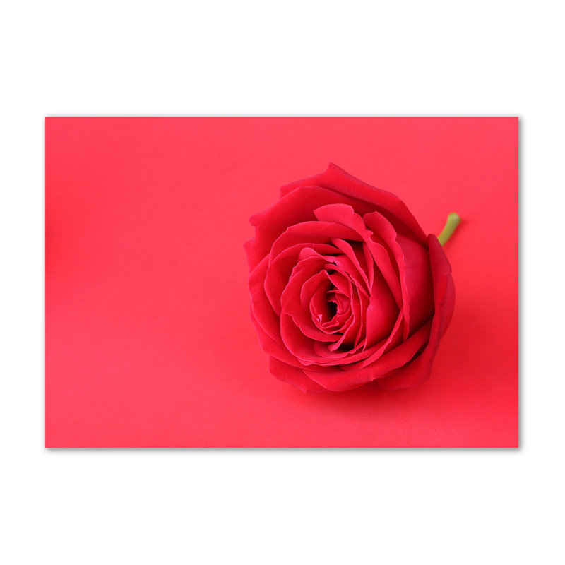 Red Rose - Wrapped Canvas Print