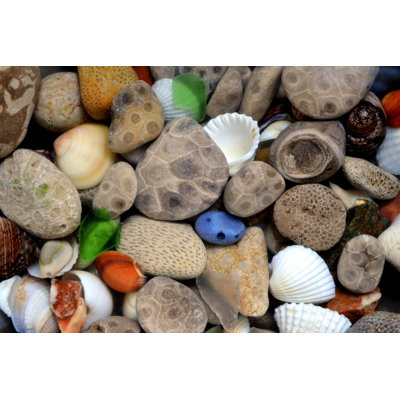 Stones And Rocks And Shells III by Michelle Calkins - Wrapped Canvas Art Prints
