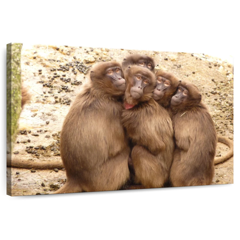 Brampt Monkey Troop, 34" H x 51" W