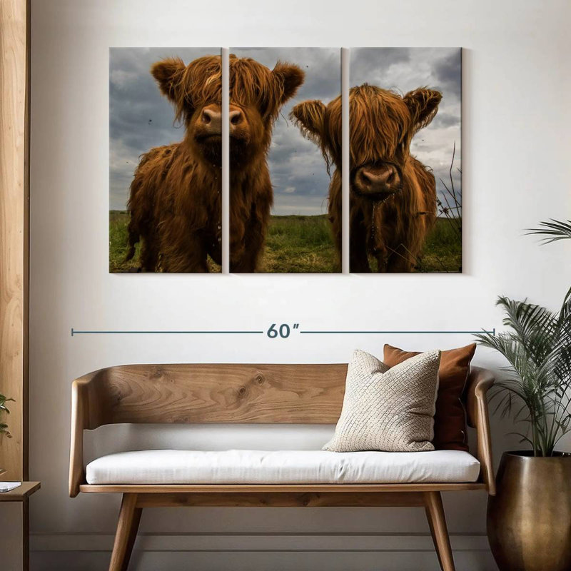 Brampt Baby Highland Cows, H 32 po x l 50 po