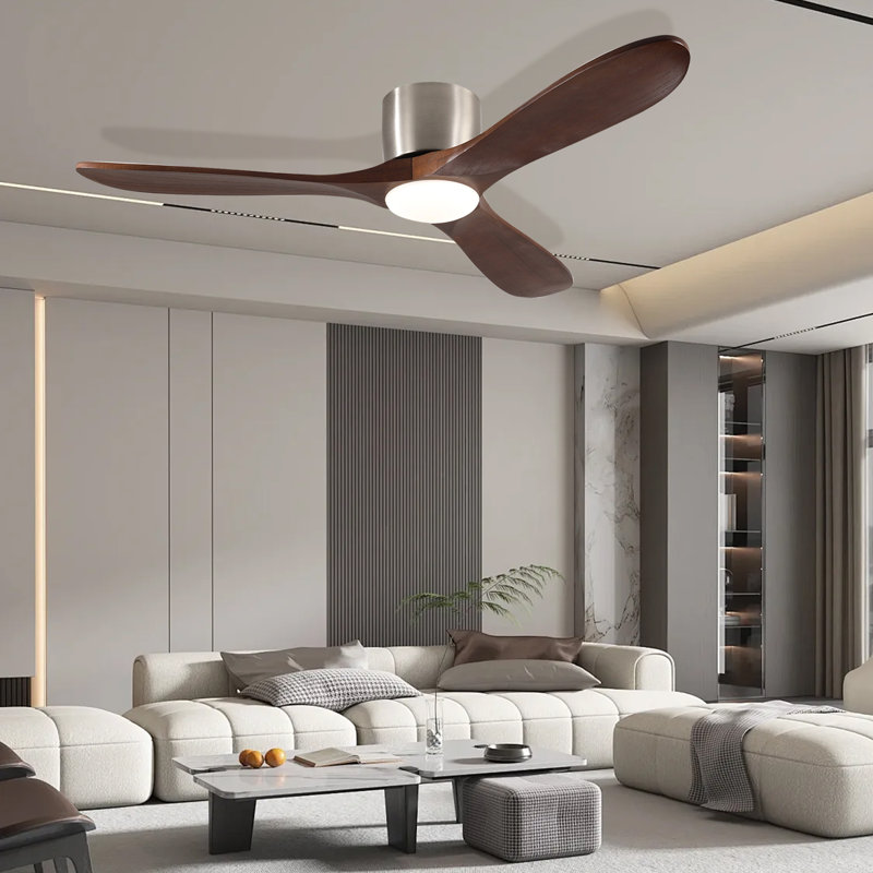 CEILING FANS LIGHT