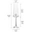 Aline 10 oz. Champagne Flutes