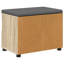 Storage Bench-2096522666-2096522656