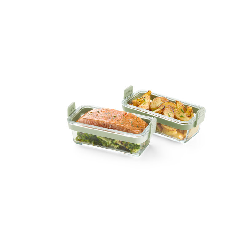 Lékué Air Fryer Dual Rectangular Glass Dishes, Set of 2