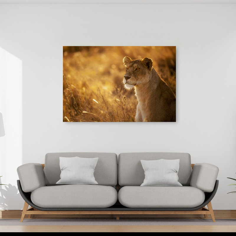 Golden Hour Lioness Contemporary Wall Art Print, 101.6cm H x 152.4cm W