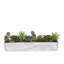 Faux Succulent in Planter