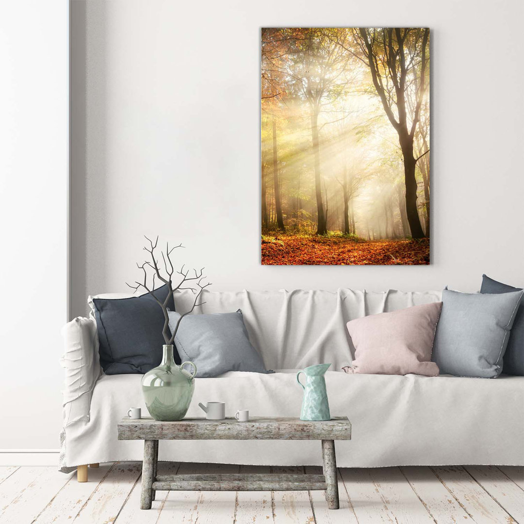 Herbstwald - Kunstdrucke auf Leinwand - Wrapped Canvas