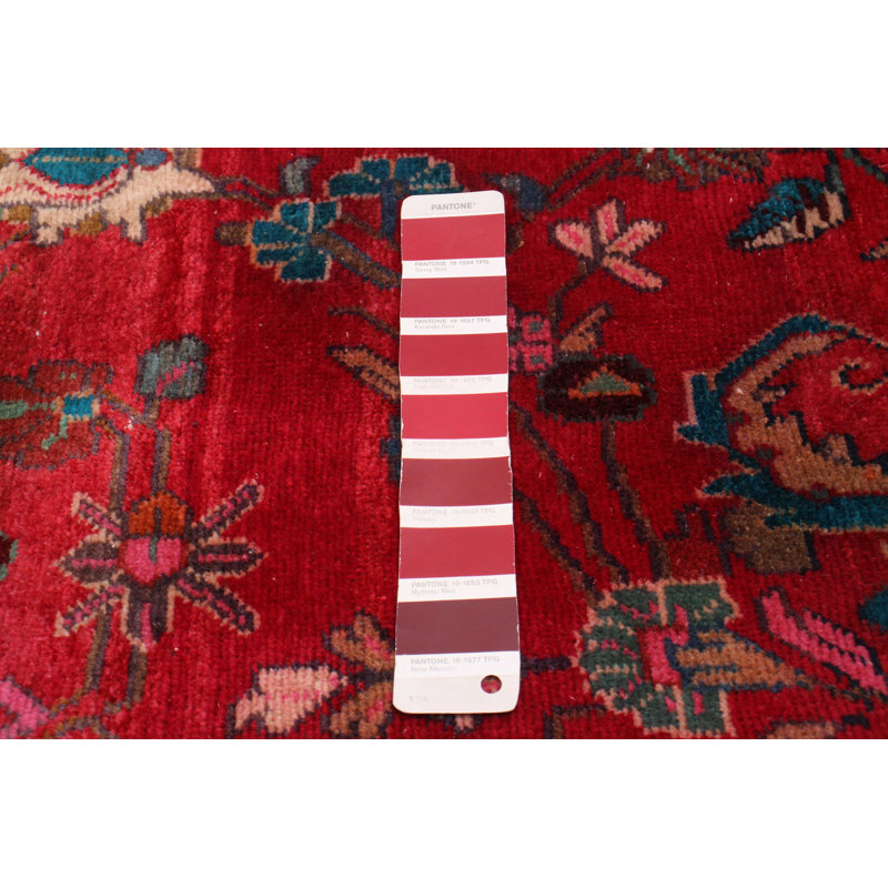 Tapis rouge Anadol 3 pi 2 po x 10 pi 4 po