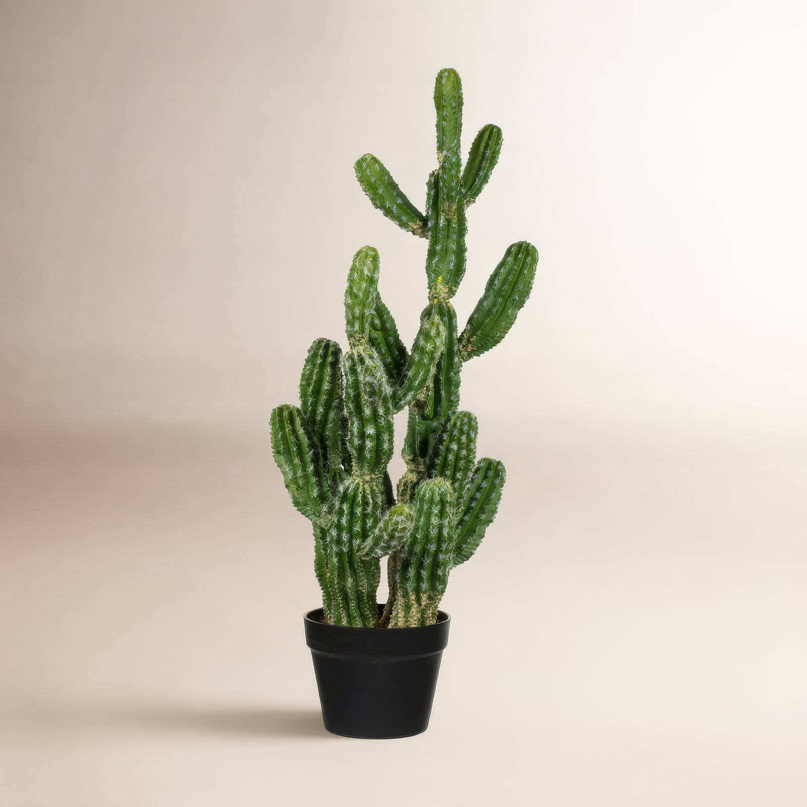 31'' Faux Succulent in Pot