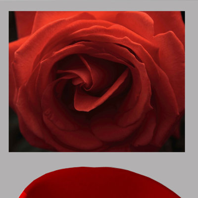 Adhésif décoratif rose Batie