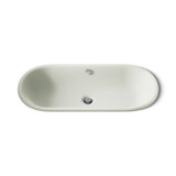 Iron Plains Metal Rectangle Dual Mount Bathroom Sink with Overflow