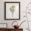 Farmhouse Pressed Flower II - peinture encadrée-1572627890-1572627903