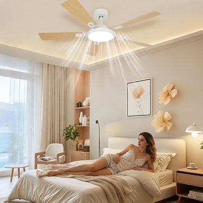 Ceiling Fan
