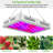 CG INTERNATIONAL TRADING Grow Light