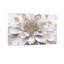 Plantes et fleurs-2108394257